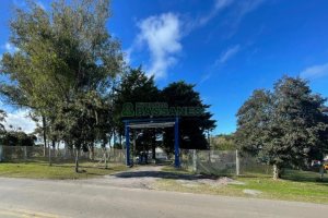 Chácara com 1200m², no bairro 3 Legua em Caxias do Sul para Comprar