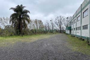 Pavilhão com 6000m², no bairro Santa Catarina em Caxias do Sul para Alugar
