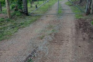 Chácara com 21124m², no bairro Vila Oliva em Caxias do Sul para Comprar