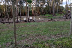 Chácara com 21124m², no bairro Vila Oliva em Caxias do Sul para Comprar