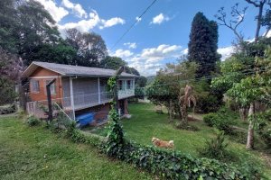 Casa com 306m², 3 dormitórios, 1 vaga, no bairro Pedancino em Caxias do Sul para Comprar