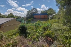 Terreno, no bairro Sanvitto em Caxias do Sul para Comprar