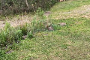 Terreno com 37387m², no bairro Sao Lucas em Caxias do Sul para Comprar