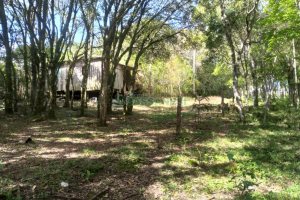 Chácara com 60m², 2 dormitórios, no bairro Criúva em Caxias do Sul para Comprar