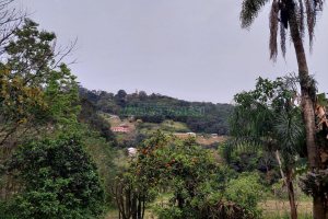 Terreno, no bairro Linha Feijo em Caxias do Sul para Comprar