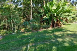 Terreno, no bairro Linha Feijo em Caxias do Sul para Comprar