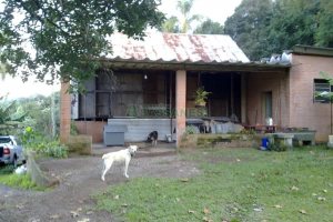 Terreno, no bairro Linha Feijo em Caxias do Sul para Comprar
