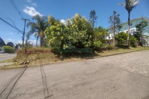 Terreno, no bairro Salgado Filho em Caxias do Sul para Comprar