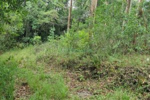 Terreno, no bairro São Giácomo em Caxias do Sul para Comprar