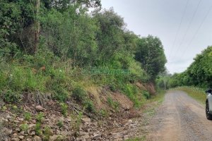 Terreno com 40200m², no bairro São Giácomo em Caxias do Sul para Comprar