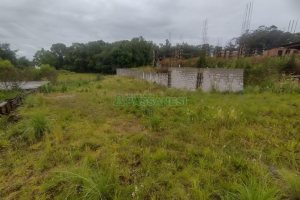 Terreno, no bairro São Giácomo em Caxias do Sul para Comprar