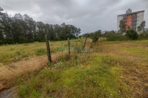 Terreno, no bairro Desvio Rizzo em Caxias do Sul para Comprar