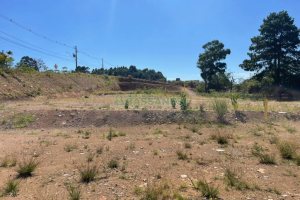 Terreno, no bairro Interlagos em Caxias do Sul para Comprar