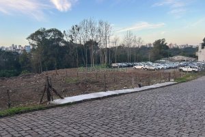 Terreno com 743m², no bairro Salgado Filho em Caxias do Sul para Alugar