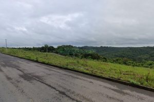 Terreno, no bairro Industrial em Caxias do Sul para Comprar