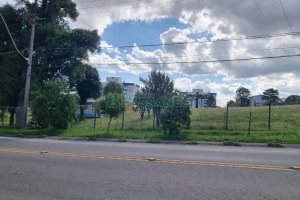 Terreno, no bairro Nossa Senhora do Rosário em Caxias do Sul para Comprar