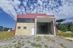 Pavilhão com 425m², no bairro Ana Rech em Caxias do Sul para Alugar