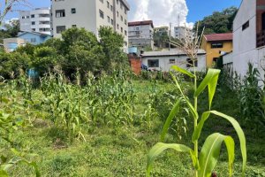 Terreno com 406m², no bairro Jardim Eldorado em Caxias do Sul para Comprar