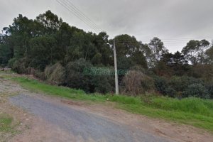 Terreno com 6400m², no bairro Sao Gotardo em Flores da Cunha para Alugar