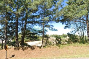 Terreno com 160000m², no bairro Sao Gotardo em Flores da Cunha para Alugar