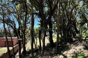 Terreno, no bairro Colina Sorriso em Caxias do Sul para Comprar