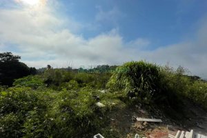 Terreno, no bairro São Virgílio em Caxias do Sul para Comprar