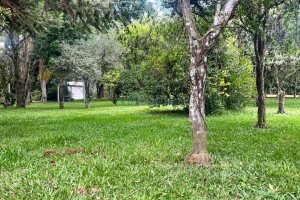 Terreno, no bairro Pedancino em Caxias do Sul para Comprar