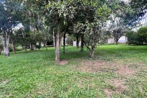 Terreno, no bairro Pedancino em Caxias do Sul para Comprar