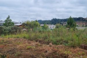 Terreno com 360m², no bairro Monte Bérico em Caxias do Sul para Comprar