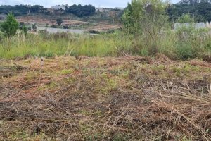 Terreno com 360m², no bairro Monte Bérico em Caxias do Sul para Comprar