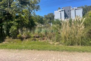 Terreno, no bairro Colina Sorriso em Caxias do Sul para Comprar
