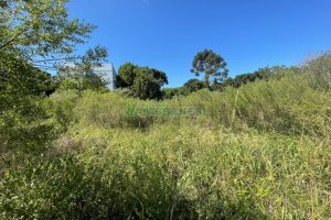 Terreno, no bairro Colina Sorriso em Caxias do Sul para Comprar