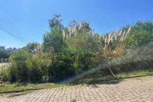 Terreno, no bairro Colina Sorriso em Caxias do Sul para Comprar