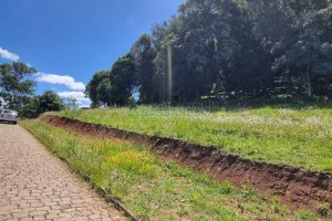 Terreno, no bairro Linha 40 em Caxias do Sul para Comprar