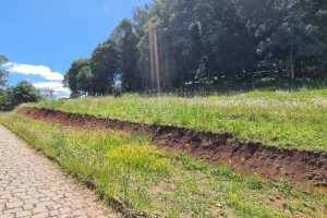 Terreno, no bairro Linha 40 em Caxias do Sul para Comprar