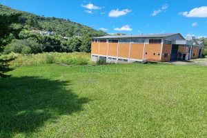 Terreno, no bairro Linha 40 em Caxias do Sul para Comprar