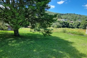 Terreno, no bairro Linha 40 em Caxias do Sul para Comprar