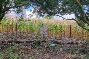Terreno, no bairro São Luiz em Caxias do Sul para Comprar