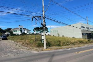 Terreno, no bairro São Luiz em Caxias do Sul para Comprar