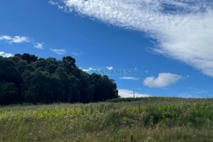 Terreno, no bairro São Luiz em Caxias do Sul para Comprar