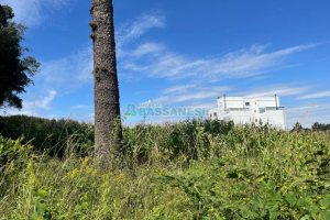 Terreno, no bairro São Luiz em Caxias do Sul para Comprar