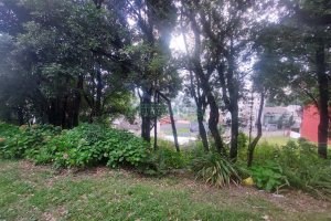 Terreno, no bairro Santa Catarina em Caxias do Sul para Comprar