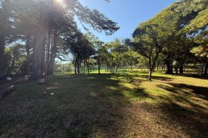Terreno, no bairro Nossa Senhora do Rosário em Caxias do Sul para Comprar