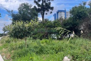 Terreno, no bairro Vila Verde em Caxias do Sul para Comprar