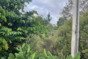 Terreno com 670m², no bairro Salgado Filho em Caxias do Sul para Comprar
