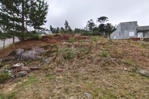 Terreno com 562m², no bairro São Virgílio em Caxias do Sul para Comprar