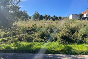 Terreno com 300m², no bairro Nossa Senhora da Conceição em Caxias do Sul para Comprar