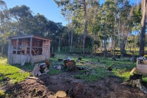 Chácara com 200m², 3 dormitórios, 1 vaga, no bairro Ana Rech em Caxias do Sul para Comprar