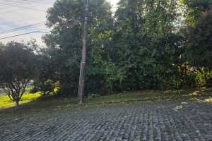 Terreno com 801m², no bairro Cinqüentenário em Caxias do Sul para Comprar