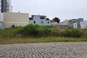 Terreno com 877m², no bairro São Luiz em Caxias do Sul para Comprar